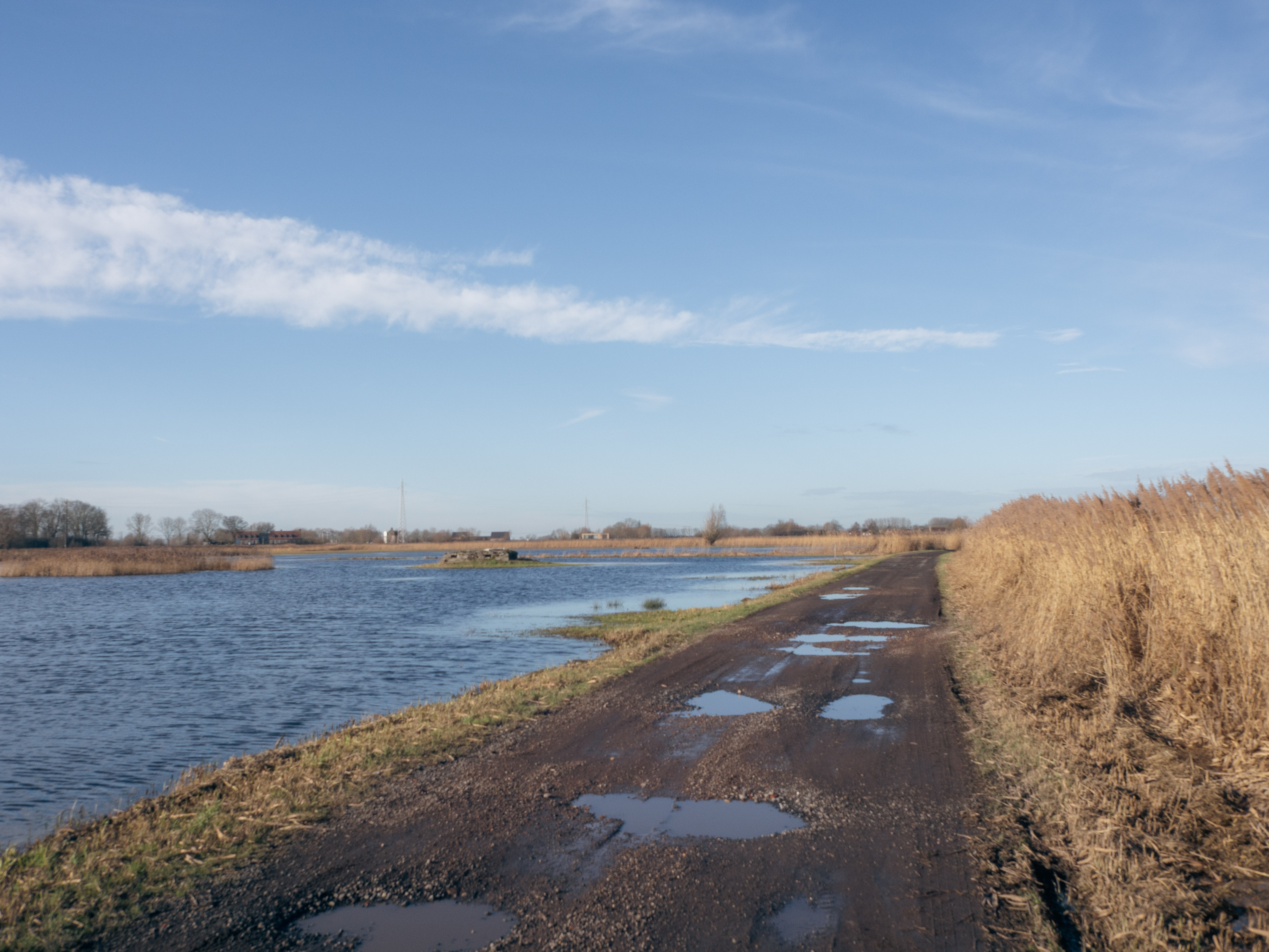Gravelen door het moerassige landschap van de Blankaart